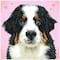 Diamond Dotz® Intermediate Say Hello to Zuzu Pre-Framed Diamond Painting Kit